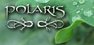 logo Polaris (USA)